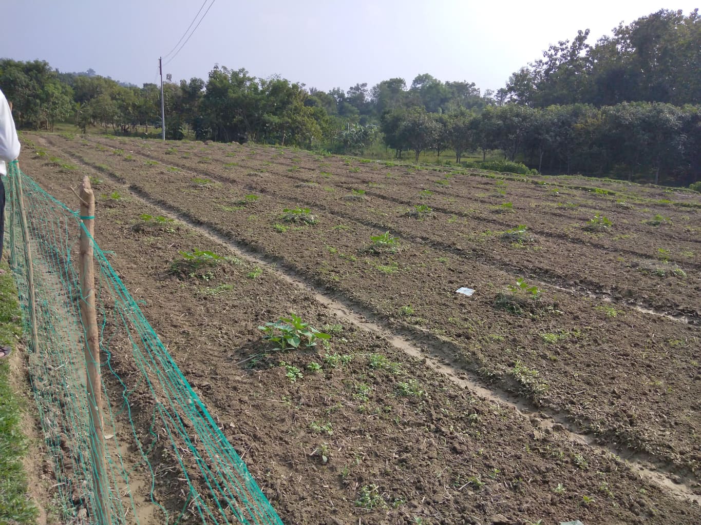 ই-সেবা কেন্দ্র, জেলা প্রশাসন