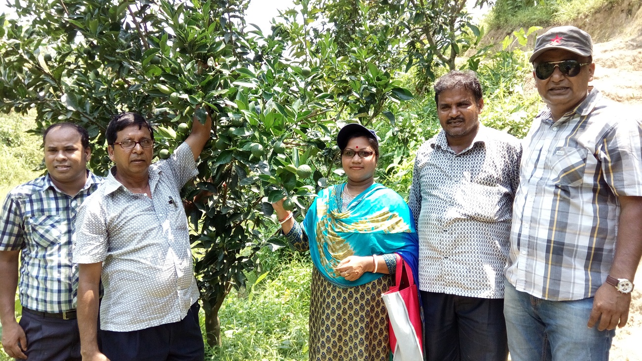 ই-সেবা কেন্দ্র, জেলা প্রশাসন