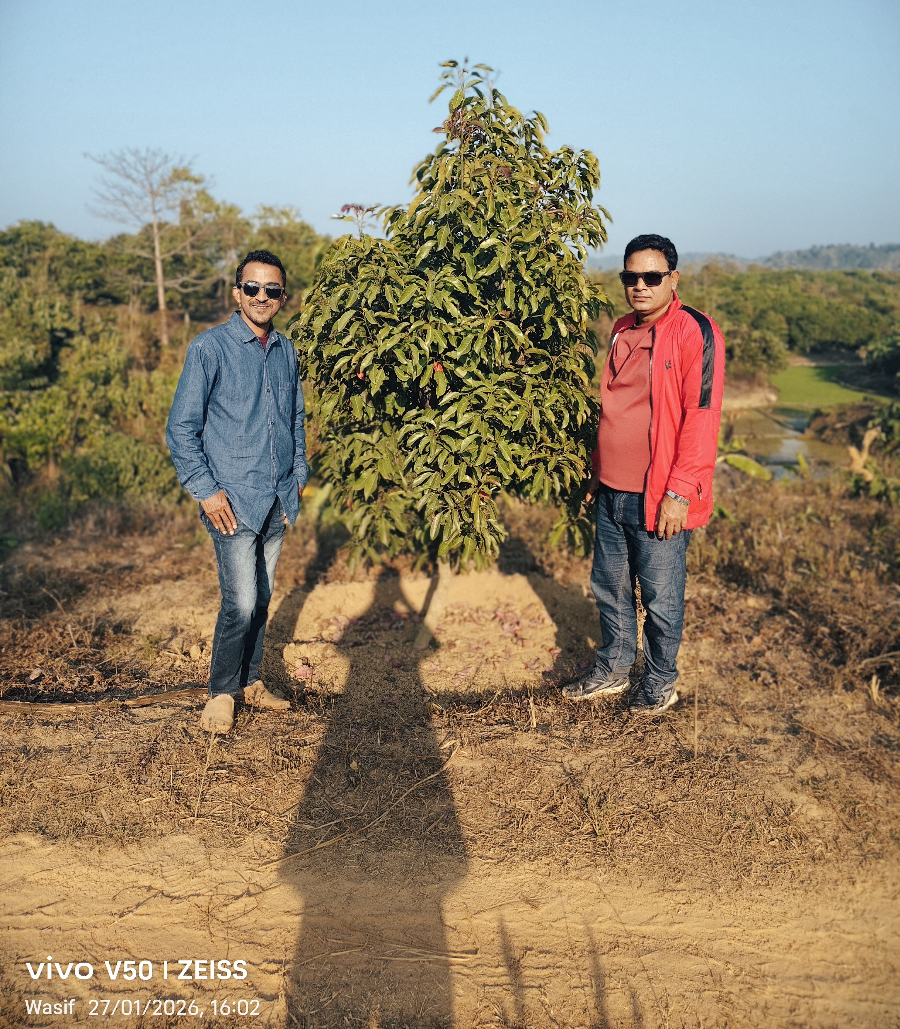 গুলশাখালীর জলপাই বাগান পরিদর্শন