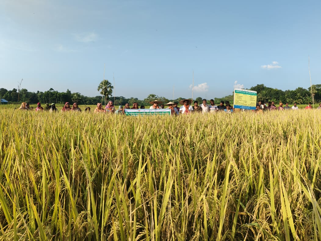 ব্যানার-৪