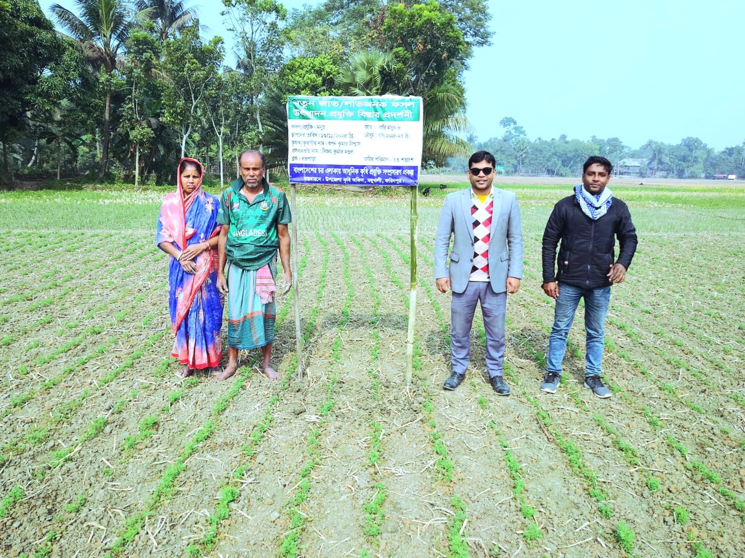 চর প্রকল্পের আওতায় মসুর প্রদর্শনীর মাঠ চিত্র