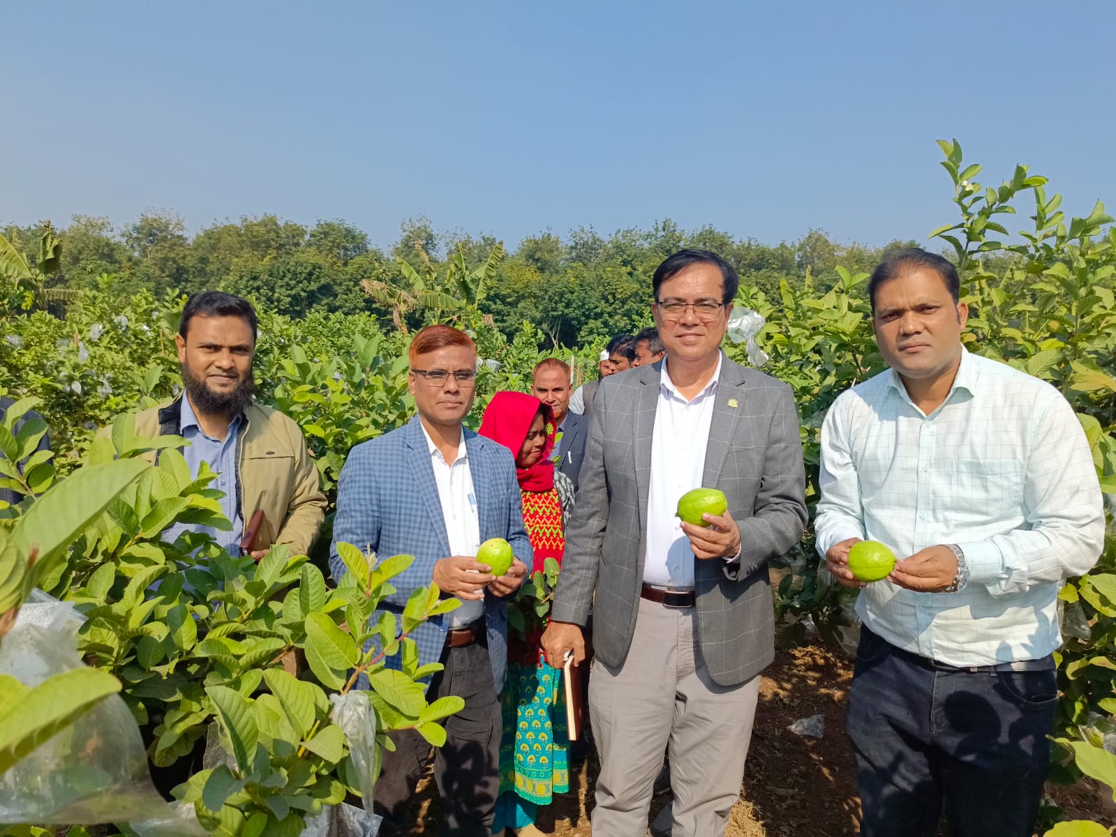 পেয়ারা বাগান পরিদর্শন