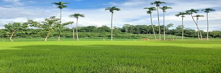 প্রকৃতি