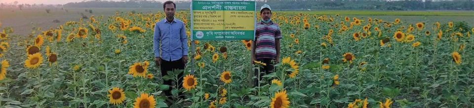 রাজস্ব প্রদর্শনী