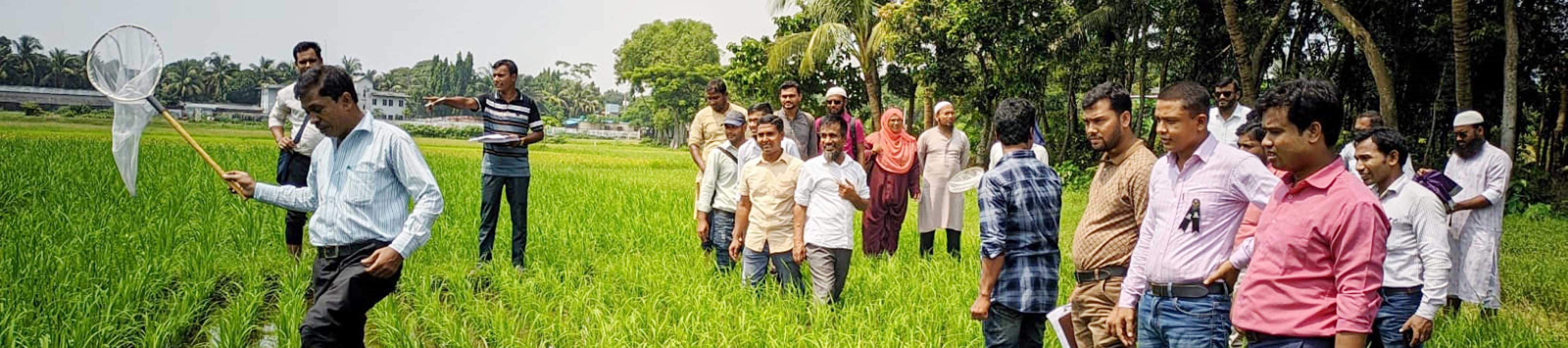 পোকা মাকড় বালাই ব্যবস্থাপনা উদ্ভিদ সংরক্ষণ উইং
