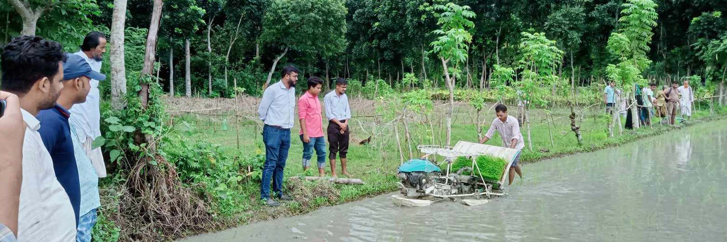সমলয় চাষাবাদের মাধ্যমে রোপা আমন ধান মিশিনের মাধ্যমে লাগানো হচ্ছে