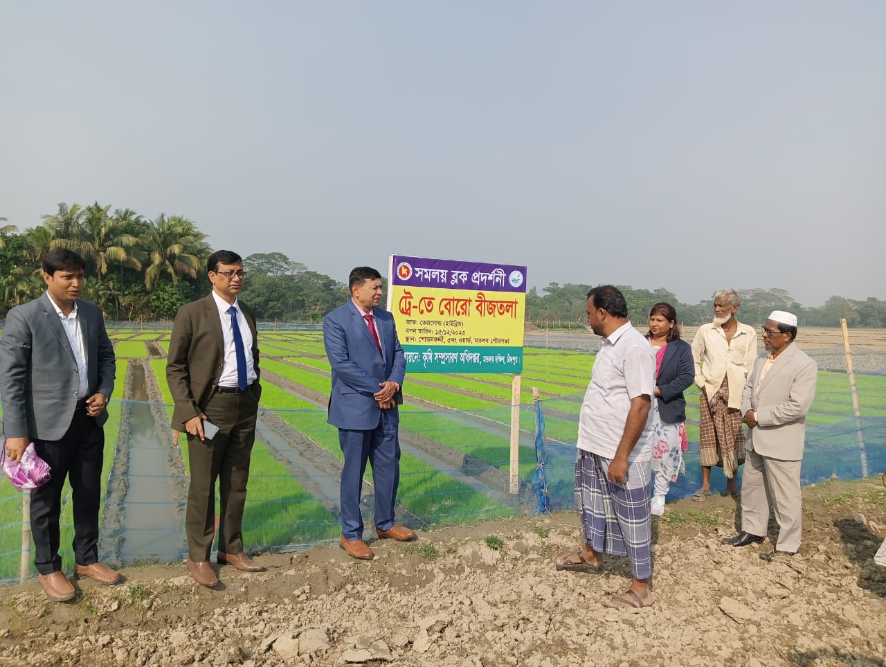 সমলয় ব্লক প্রদর্শনী ট্রে-েতে বোরো বীজতলা