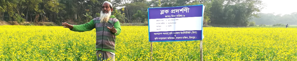 সরিষার জমি