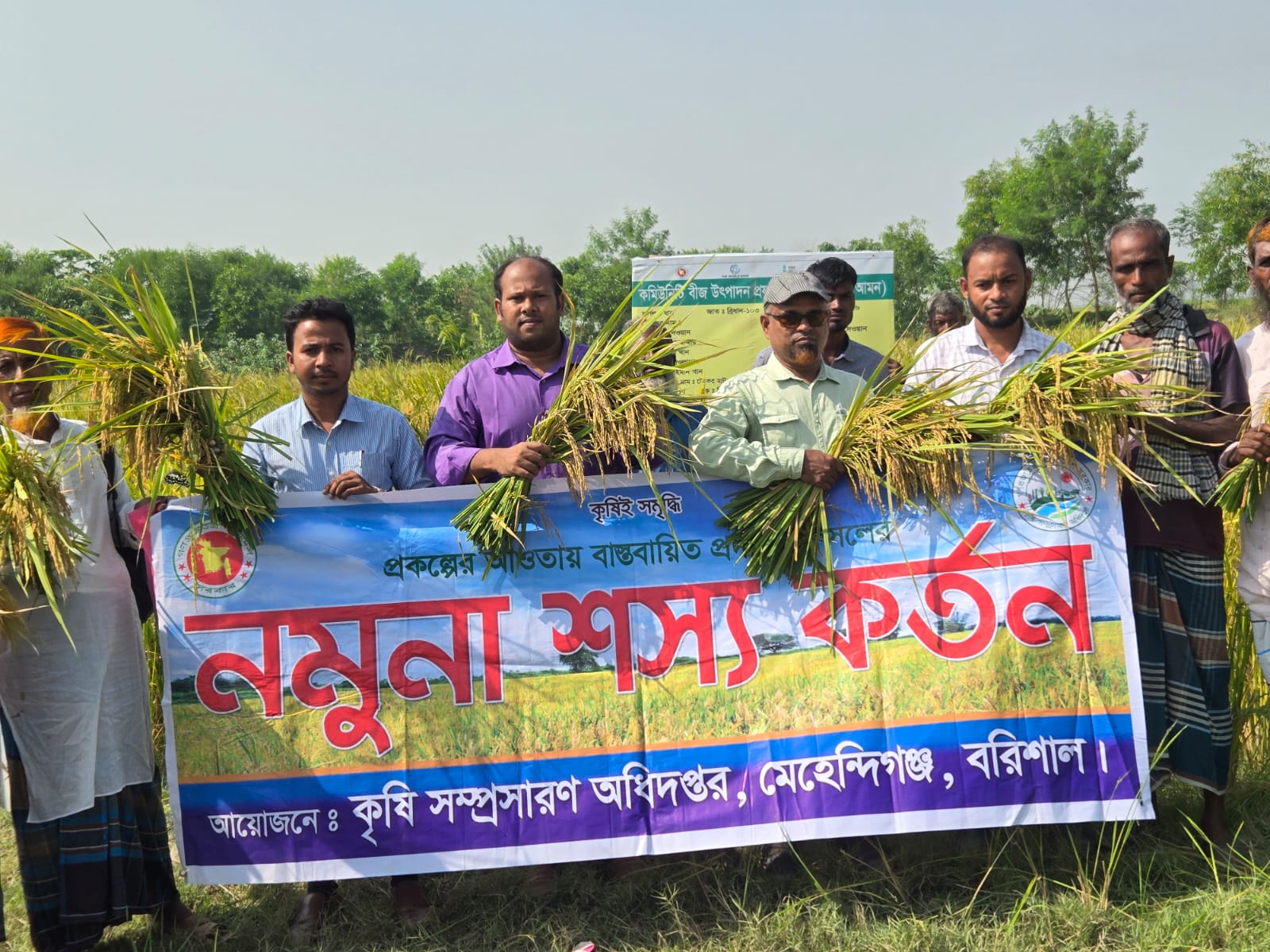 নমুনা শস্য কর্তন