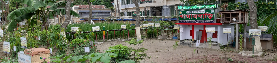 মডেল খামারবাড়ি