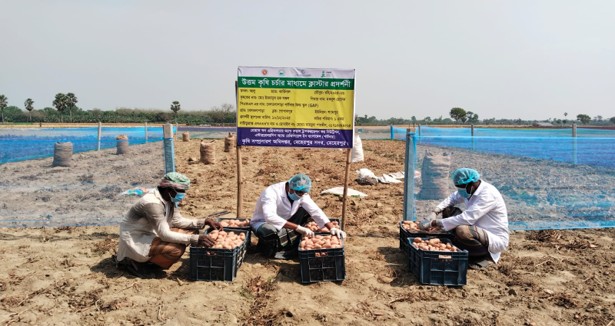 সাইনবোর্ডসহ ক্লাস্টার ডেমোনেস্ট্রেশন ফর গ্যাপ স্টান্ডার্ডস অফ ভেজিটেবলস ছবি