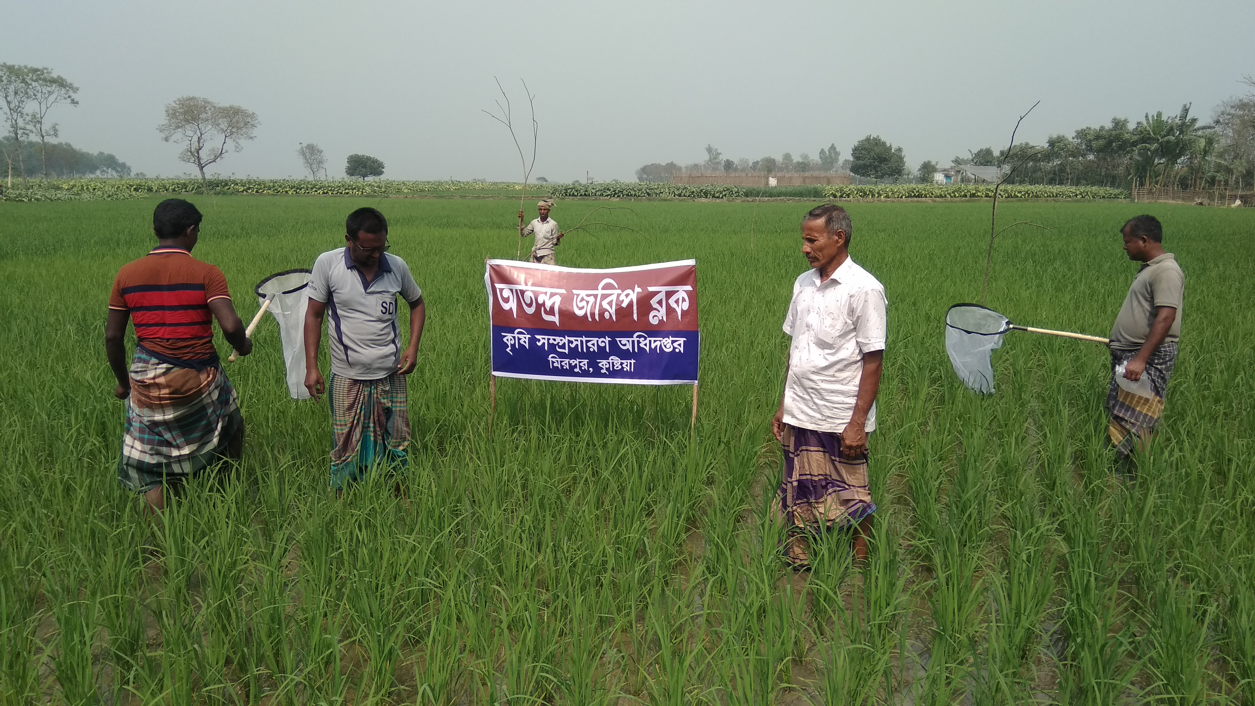 অতন্ত্র জরীপ