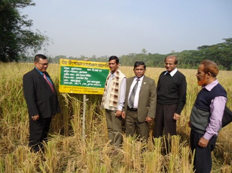 উপজেলা কৃষি অফিস, মীরসরাই, চট্টগ্রাম এর কার্যক্রমের স্থিরচিত্র