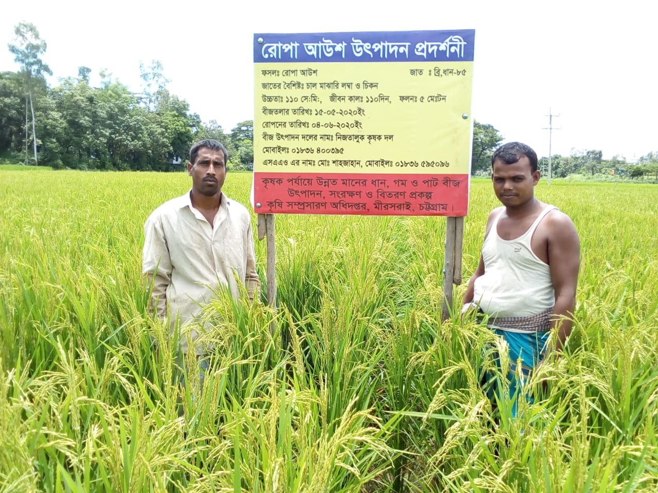 প্রকল্পের কার্যক্রম