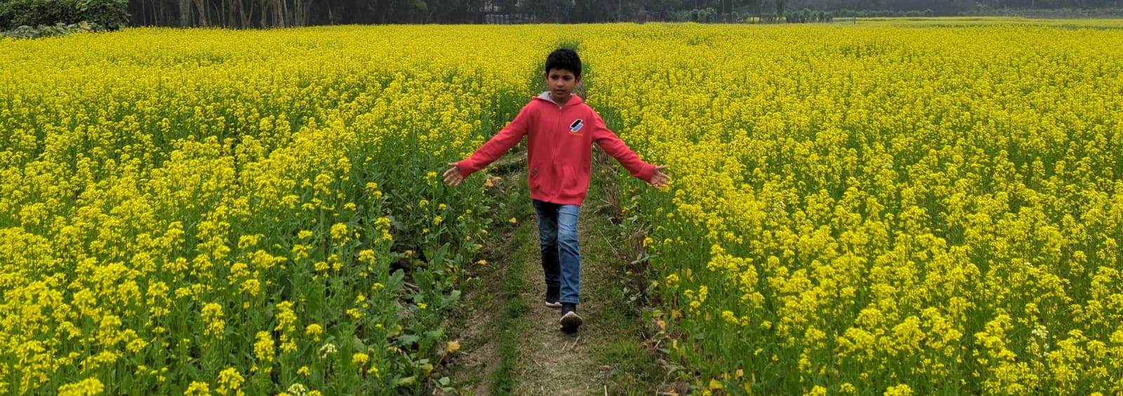mustard