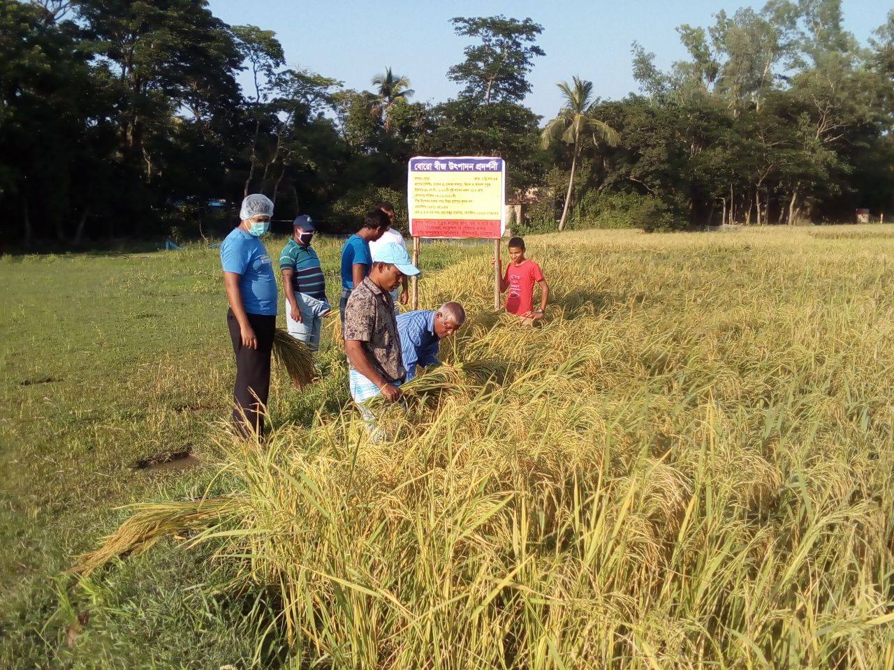 প্রকল্পের কার্যক্রম