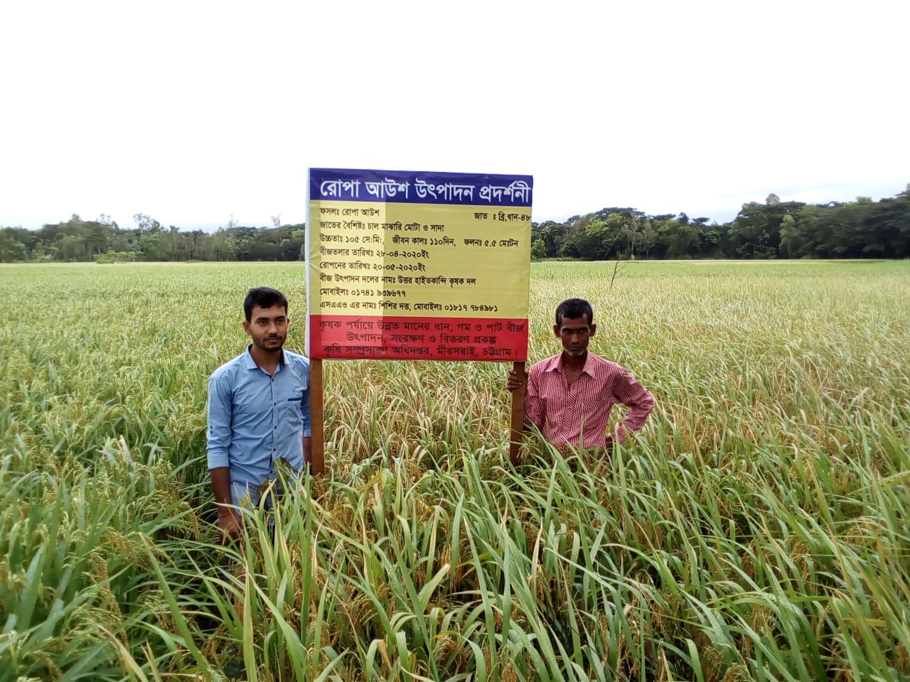 প্রকল্পের কার্যক্রম