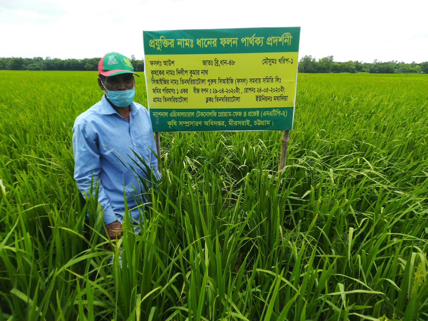 প্রকল্পের কার্যক্রম