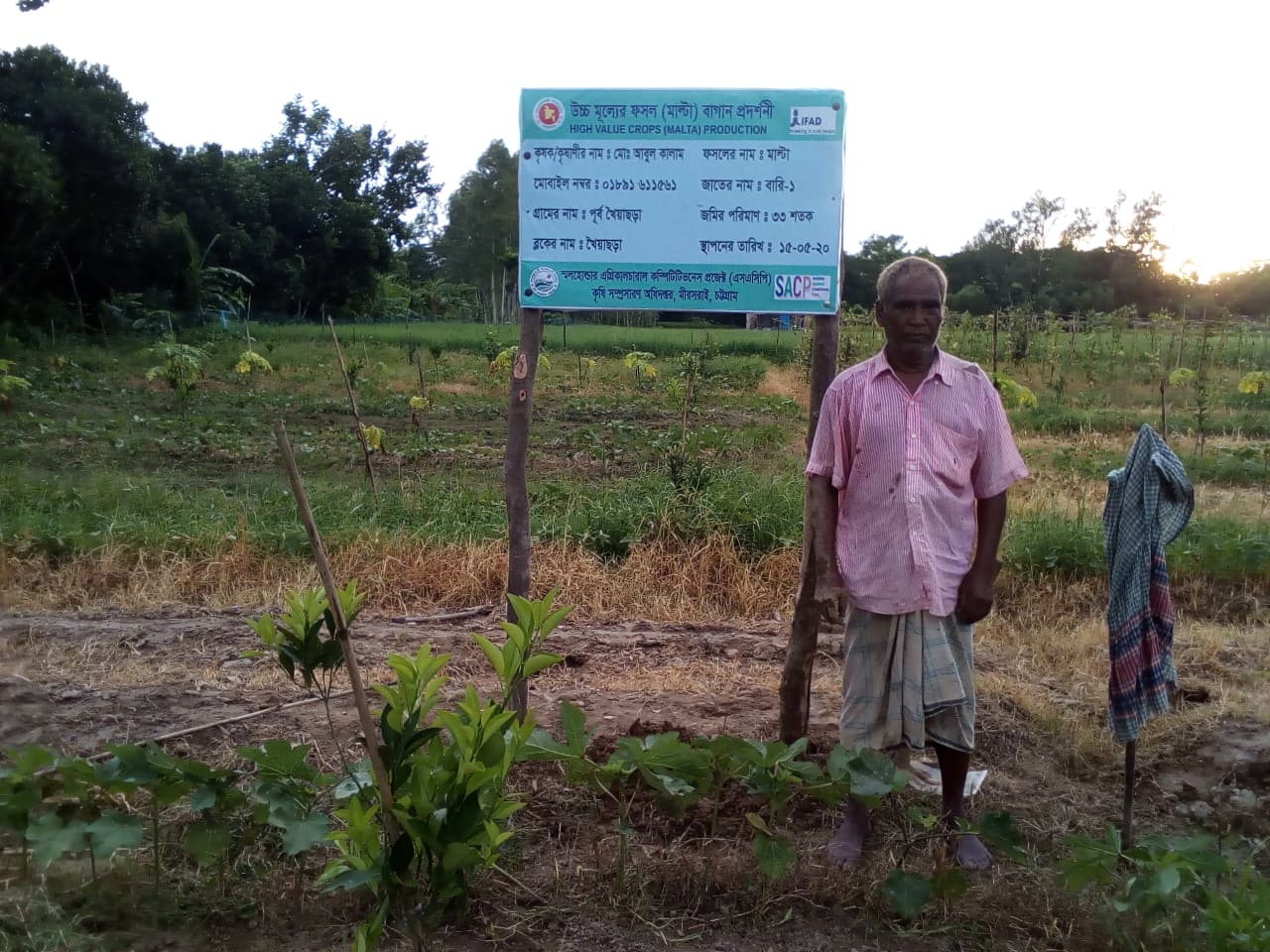 প্রকল্পের কার্যক্রম