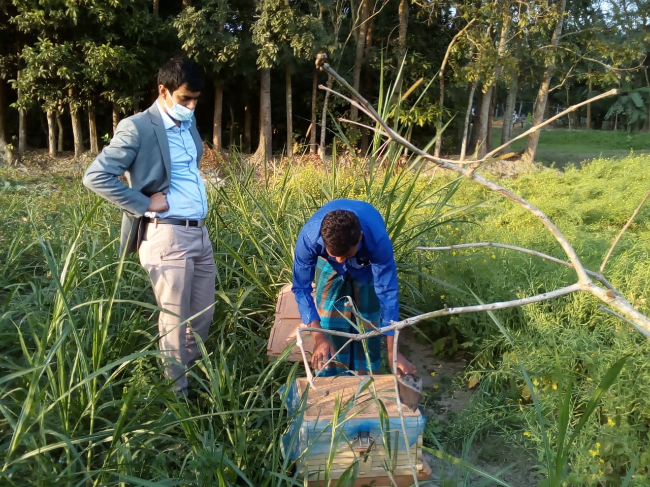 ই-সেবা কেন্দ্র, জেলা প্রশাসন