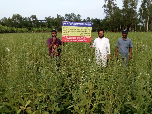 তিল প্রদর্শনী