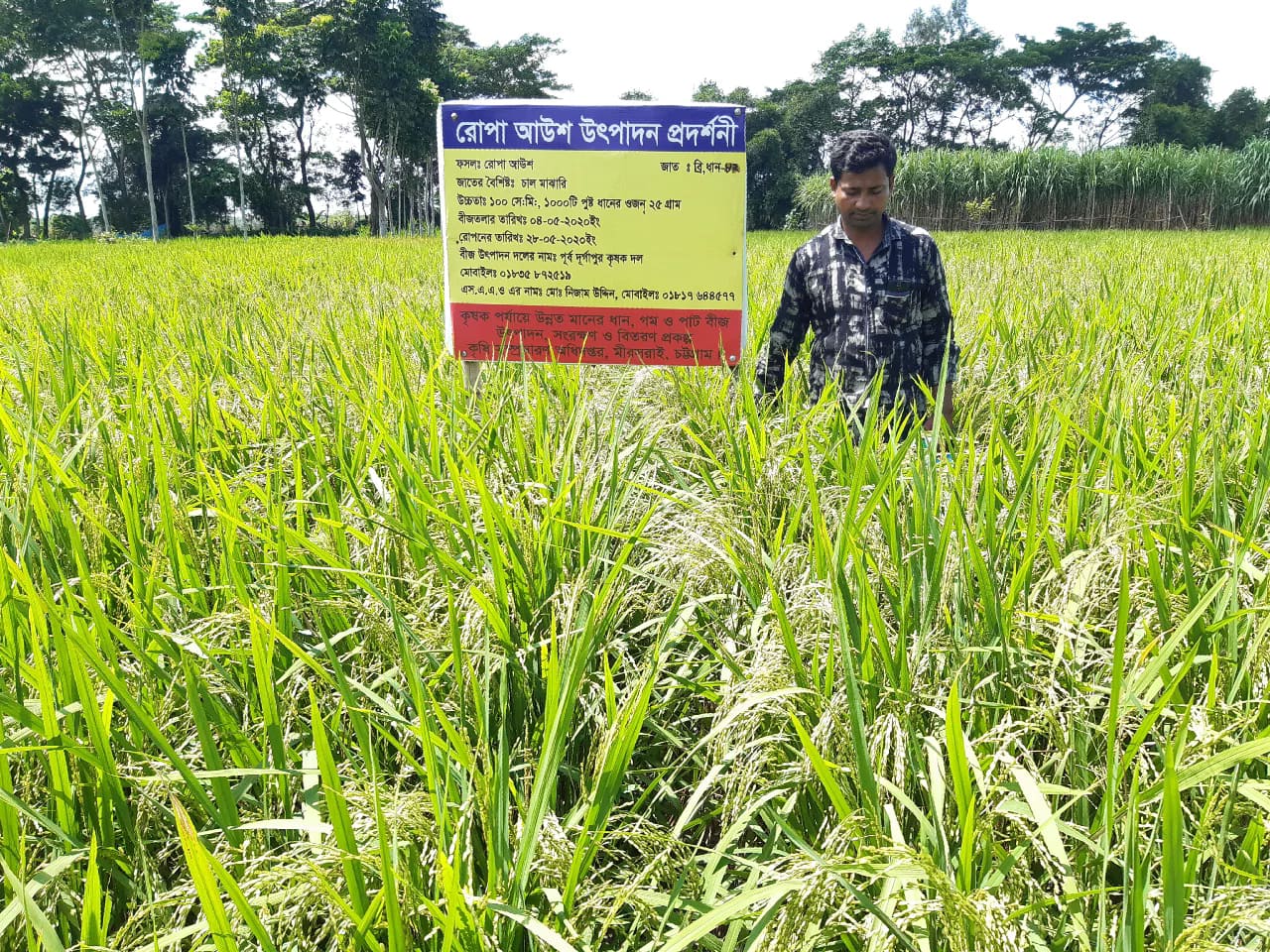 প্রকল্পের কার্যক্রম, হাজীশ্বরাই