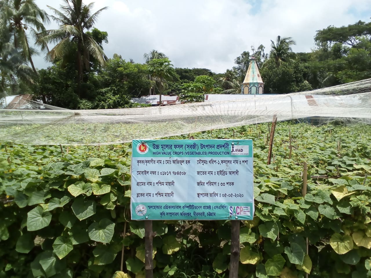 প্রকল্পের কার্যক্রম