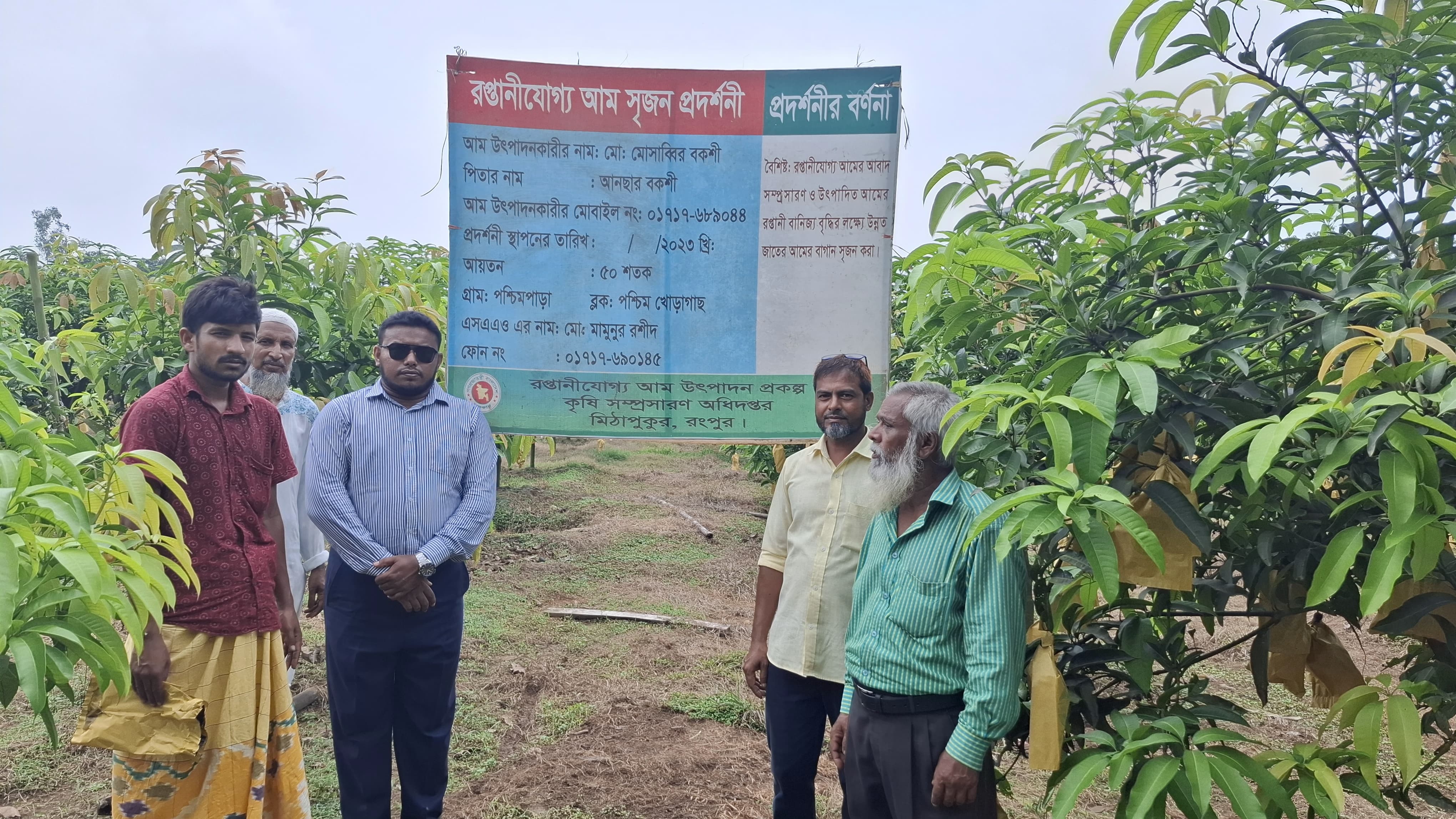 রপ্তানিযোগ্য আম উৎপাদন