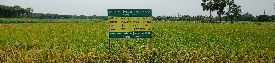 প্রদর্শনী