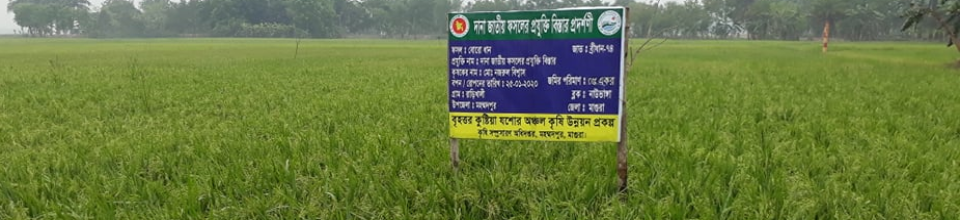 প্রদর্শনী