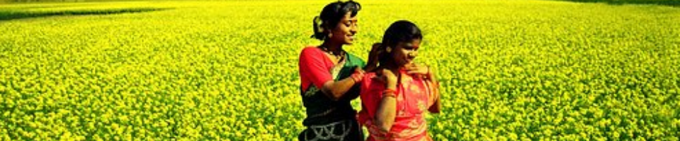 বাংলার কৃষি