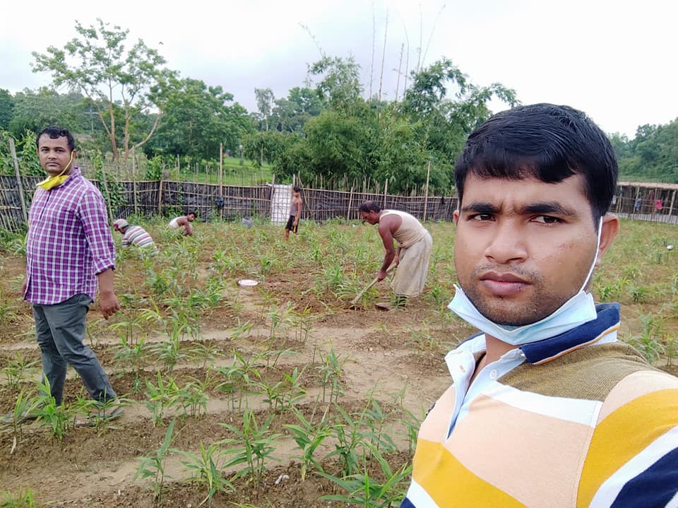 আদা প্রদর্শনীর ছবি। ছোটমহেশখালী