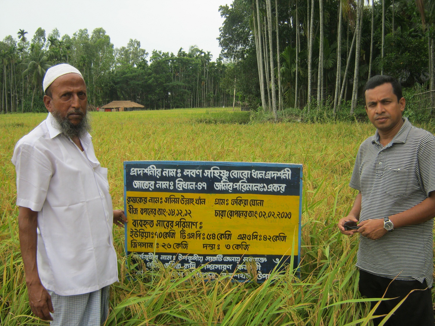 প্রদর্শনী পরিদর্শ করছেন উপজেলা কৃষি কর্মকর্তা।