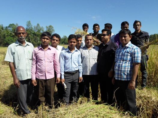 বড়মহেশখালী আমন ধানের মাঠ দিবস।