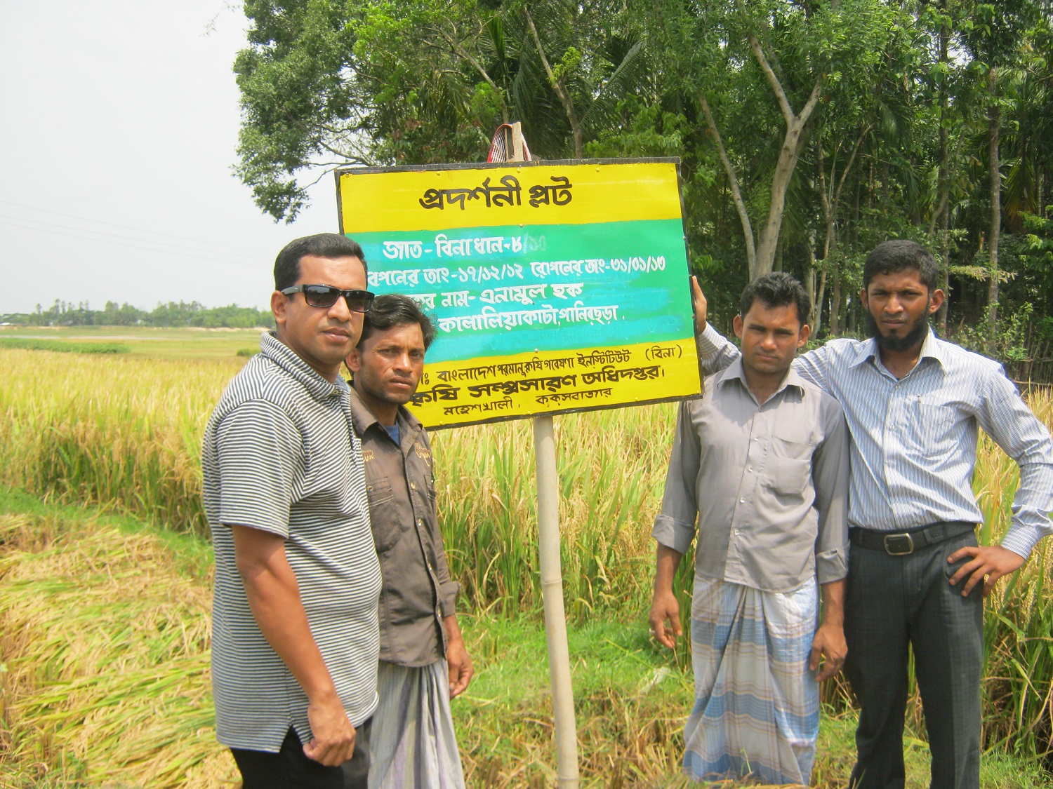 বোরো মেৌসুমের ক্রপ কাটি্ং।