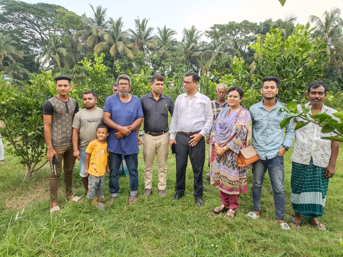 পরিদর্শন