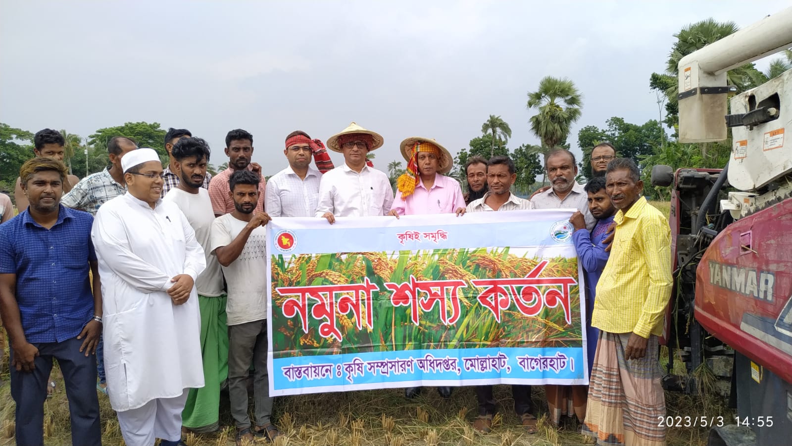 শস্য কর্তন