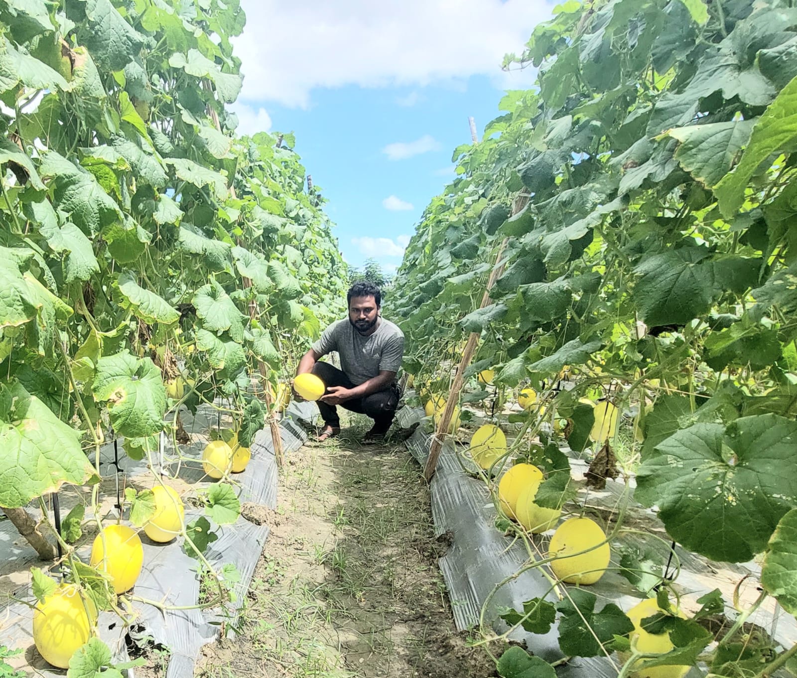 কৃ‌ষি প্রদর্শনী