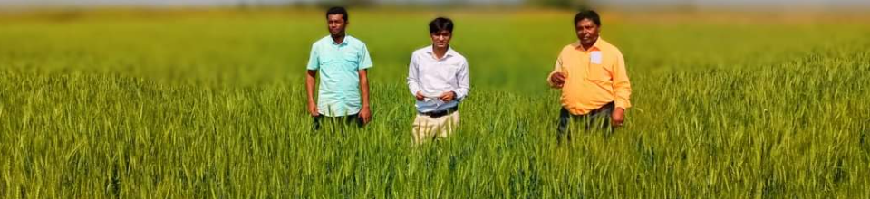 মোংলার কৃষি