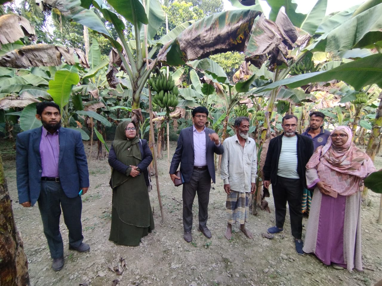 মনোহরদীতে কলা চাষিদের সাথে জনাব আজিজল হক উপপরিচালক , নরসিংদী্র মতবিনিময়।