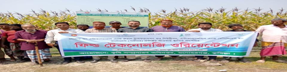 ফিল্ড টেকনোলজি