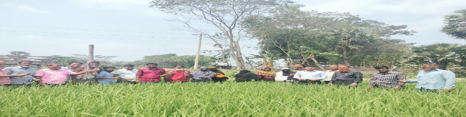 ফসল পরিদর্শন