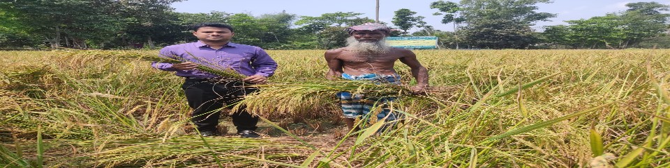 ক্রপ কাটিং