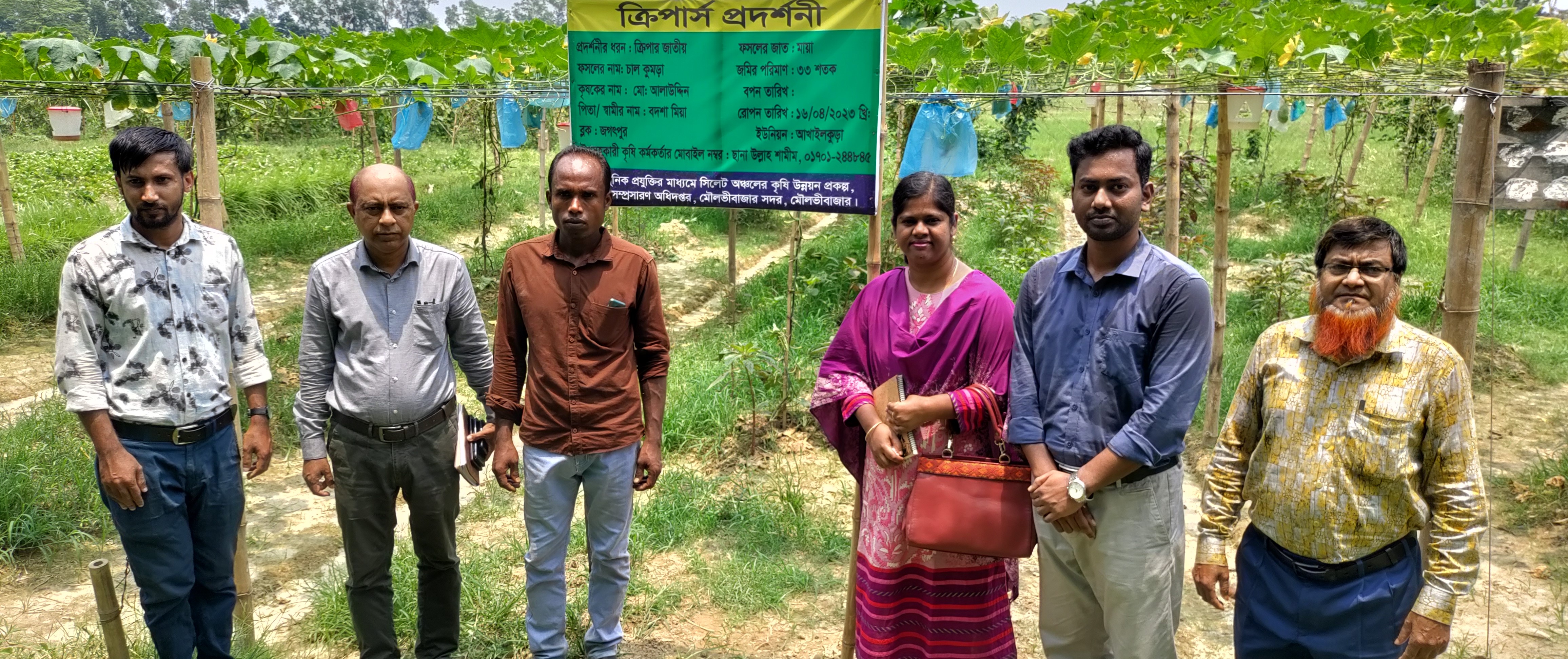প্রদর্শনী পরিদর্শন
