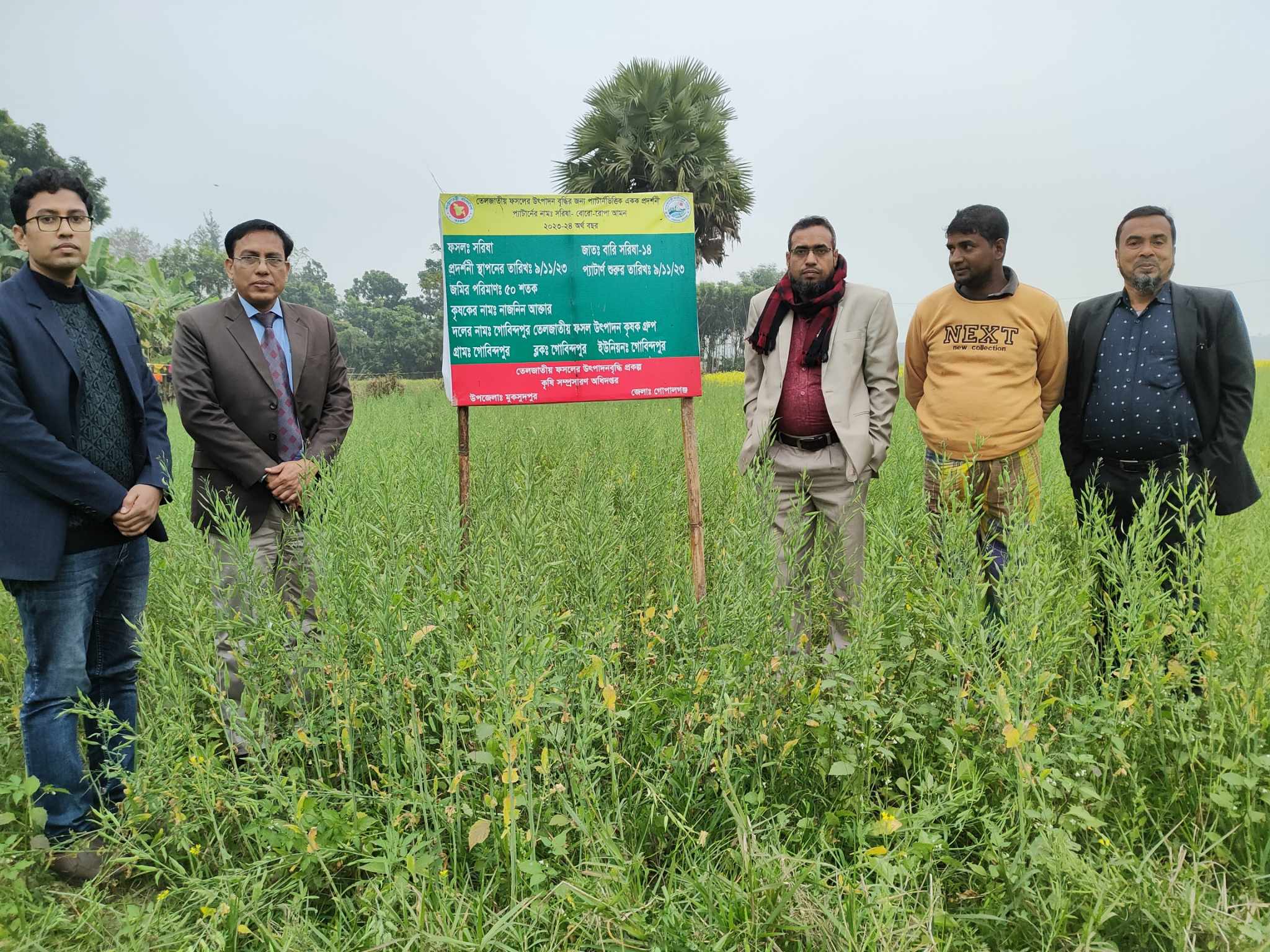 ব্যানার