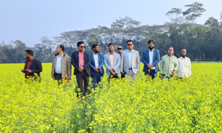 মুলাদীদে দিগন্ত জুড়ে সরিষা