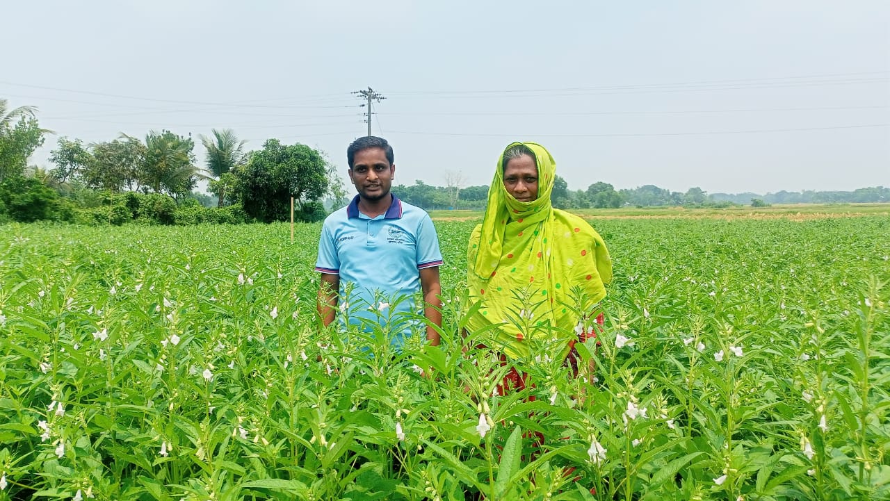 তিল