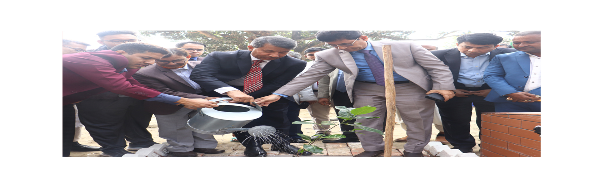 ময়মনসিংহ অঞ্চল, ময়মনসিংহ অফিস চত্বরে বৃক্ষরোপন করেন ড. মোহাম্মদ এমদাদ উল্লাহ মিয়ান, সচিব, কৃষি মন্ত্রণালয়।