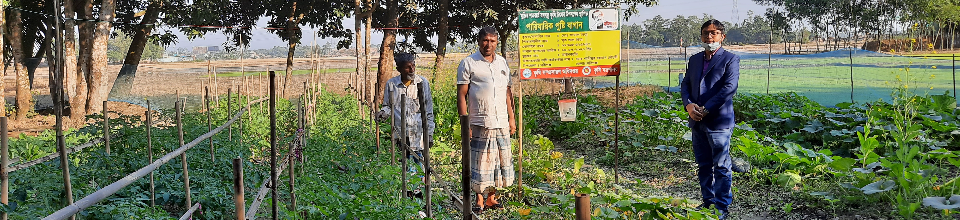পারিবারিক পুষ্টি বাগান