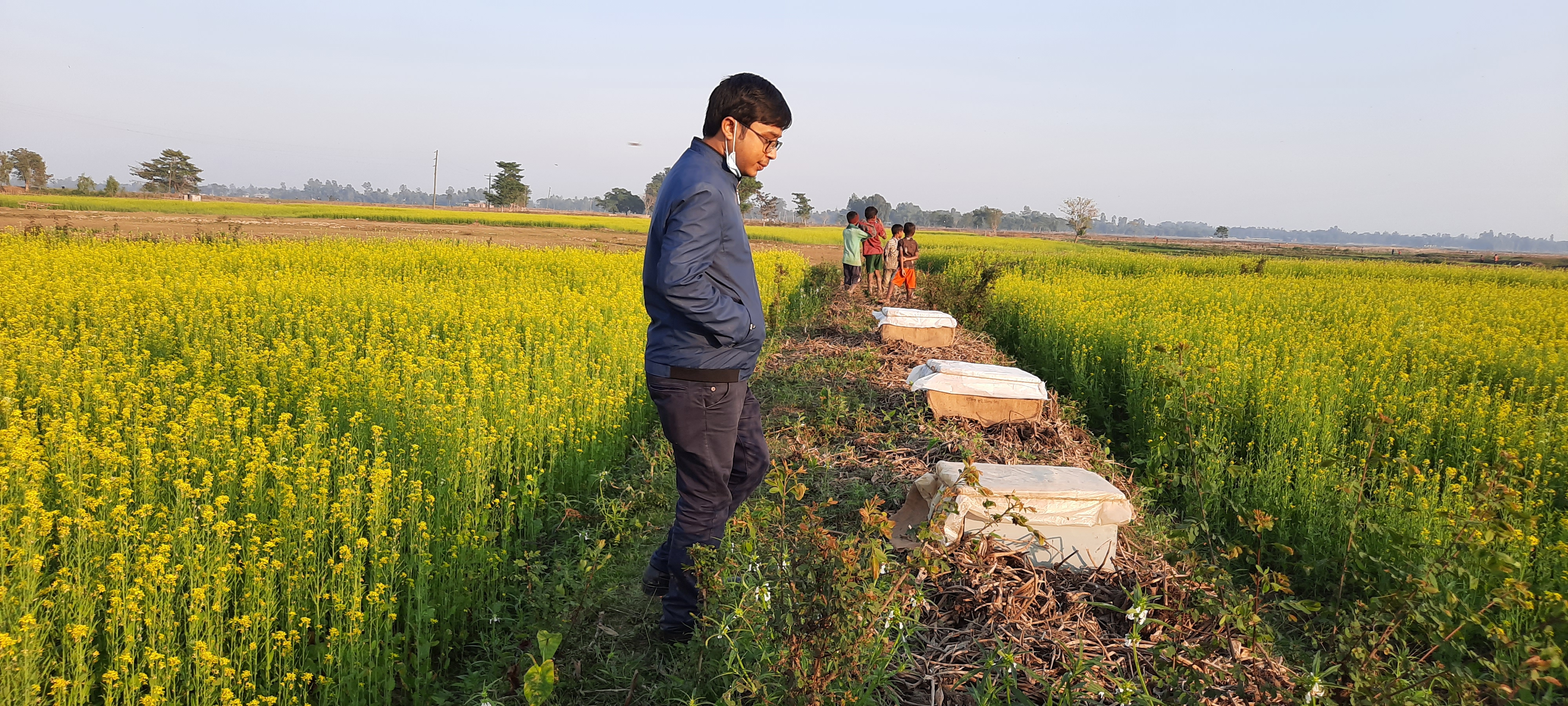 ২০২০-২১ সরিষা আবাদ